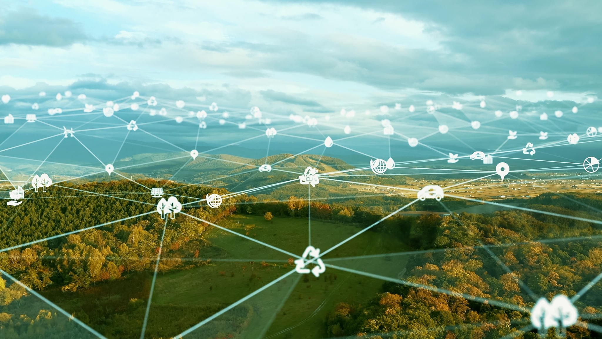 Beyond Green: Building a Sustainable Future from the Ground Up