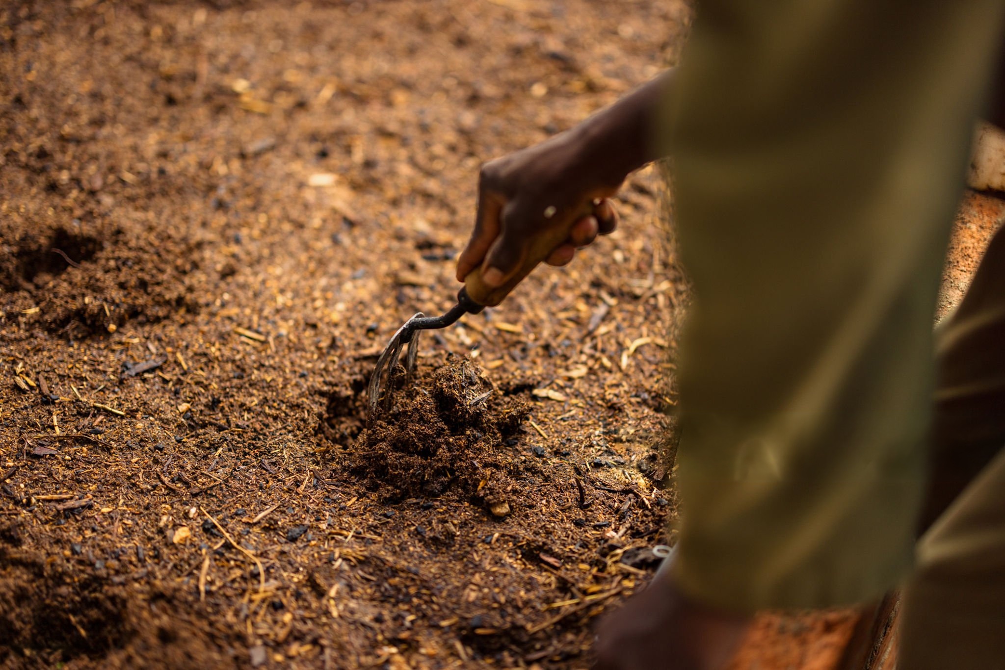 Reforestation and Green Living