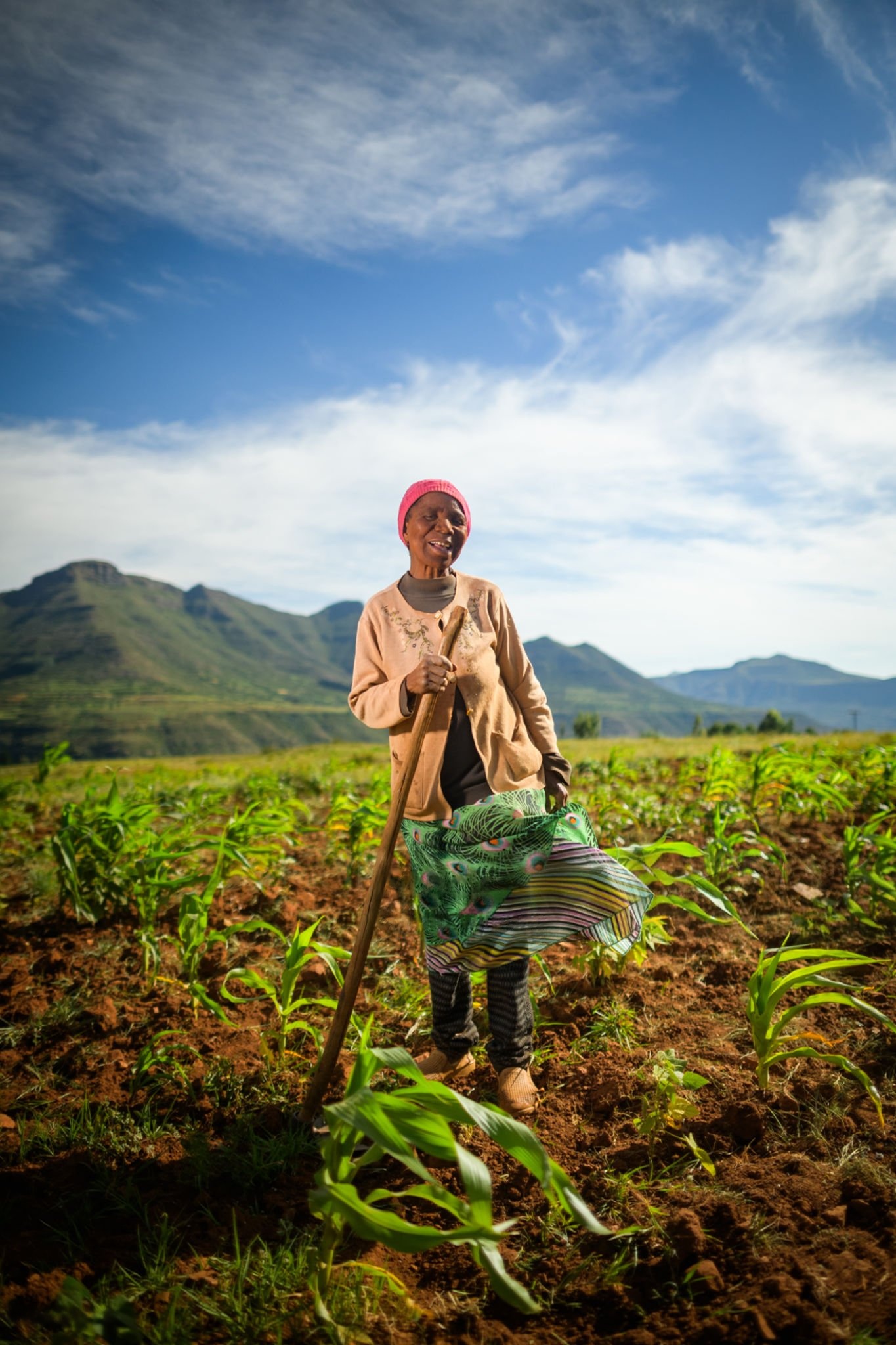 Renewable Energy and Clean Technology Front Cover